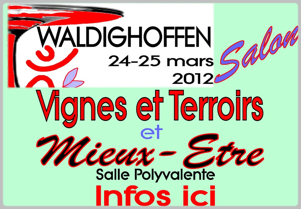 pub Salon VTME 2012
